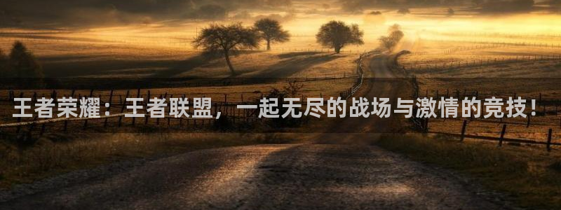 完美电竞竞技平台：王者荣耀：王者联盟，一起无尽的战场与激情的竞技！