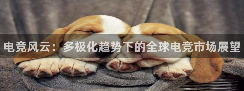 完美电竞绑定steam：电竞风云：多极化趋势下的全球电竞市场展望