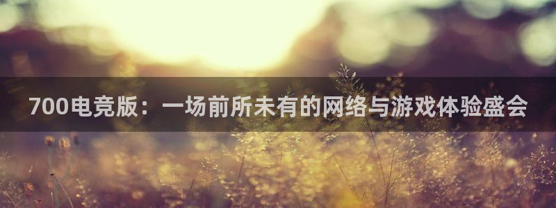 完美电竞账号：700电竞版：一场前所未有的网络与游戏体验盛会