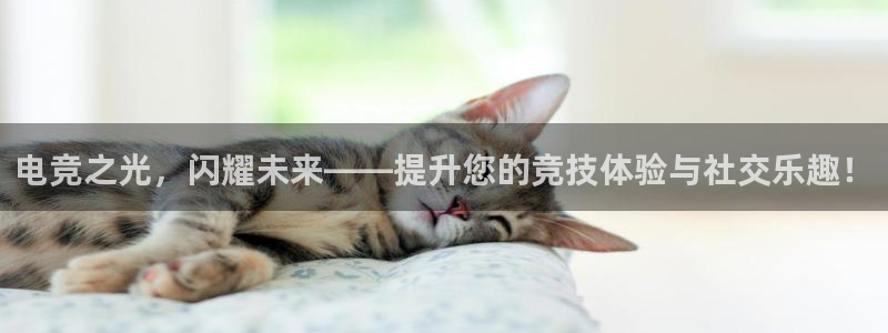 完美电竞对战平台：电竞之光，闪耀未来——提升您的竞技体验与社交乐趣！