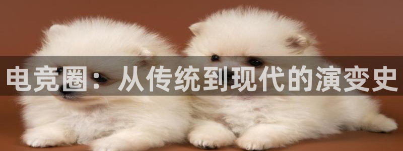完美电竞平台官网：电竞圈：从传统到现代的演变史