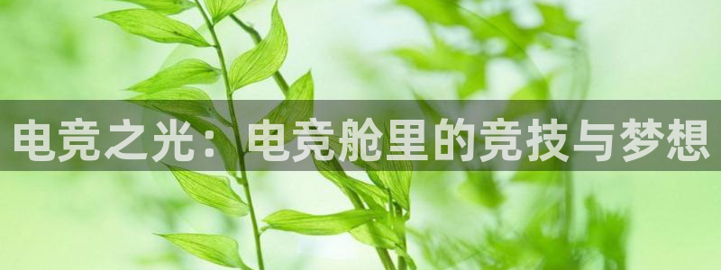 完美电竞注册：电竞之光：电竞舱里的竞技与梦想