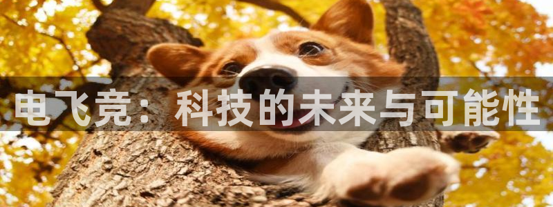 完美电竞对战：电飞竞：科技的未来与可能性