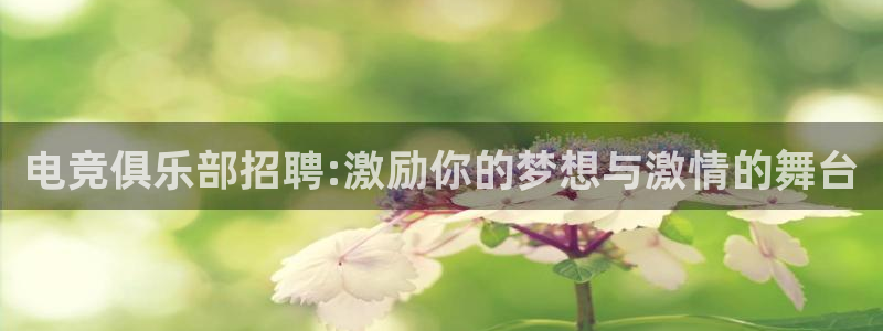 cs完美电竞平台：电竞俱乐部招聘:激励你的梦想与激情的舞台