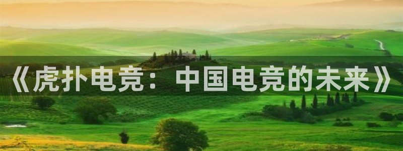 完美电竞app官网：《虎扑电竞：中国电竞的未来》