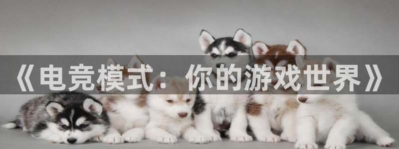 完美电竞直播：《电竞模式：你的游戏世界》