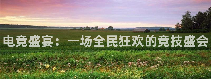 完美电竞世界平台：电竞盛宴：一场全民狂欢的竞技盛会