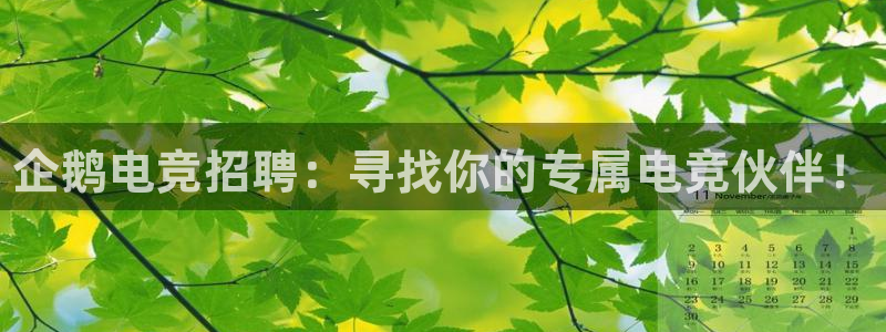 完美电竞查询：企鹅电竞招聘：寻找你的专属电竞伙伴！