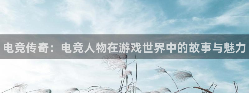 完美电竞世界平台：电竞传奇：电竞人物在游戏世界中的故事与魅力