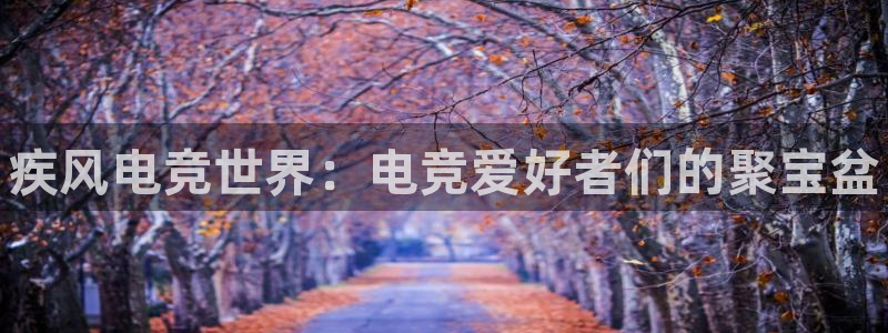 csgo完美电竞平台：疾风电竞世界：电竞爱好者们的聚宝盆