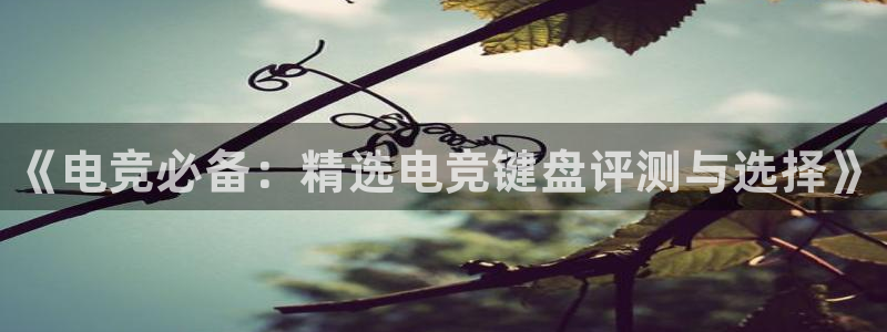 完美电竞联赛：《电竞必备：精选电竞键盘评测与选择》