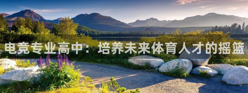 完美电竞cs：电竞专业高中：培养未来体育人才的摇篮