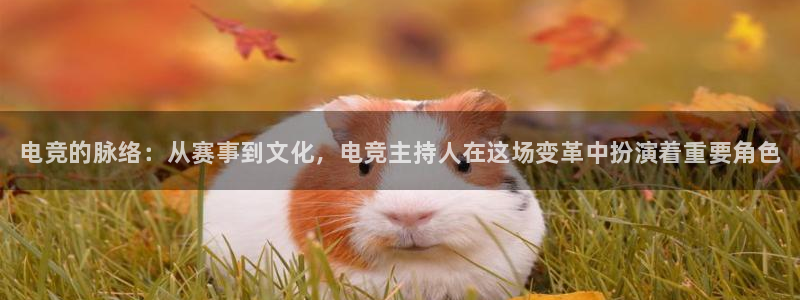 完美电竞世界平台：电竞的脉络：从赛事到文化，电竞主持人在这场变革中扮演着重要角色