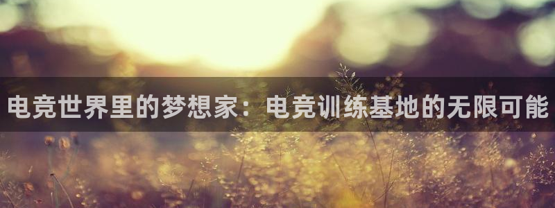 完美电竞平台官网：电竞世界里的梦想家：电竞训练基地的无限可能