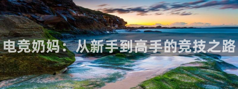 完美电竞查询：电竞奶妈：从新手到高手的竞技之路
