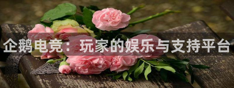完美电竞大会员：企鹅电竞：玩家的娱乐与支持平台