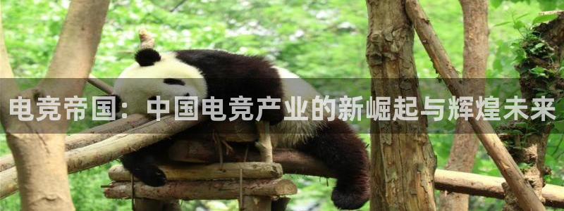 完美电竞世界平台下载：电竞帝国：中国电竞产业的新崛起与辉煌未来