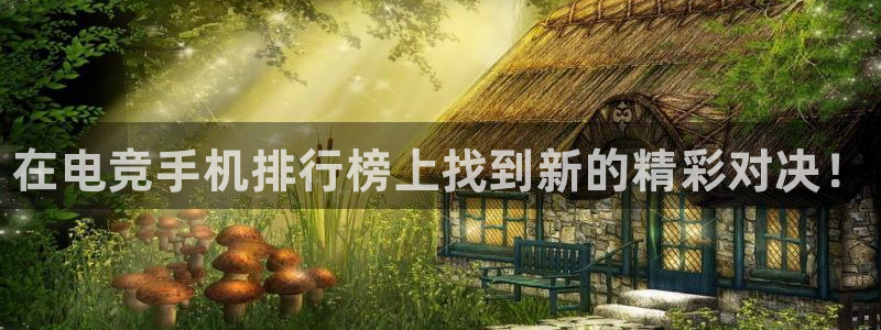 完美电竞|官网：在电竞手机排行榜上找到新的精彩对决！