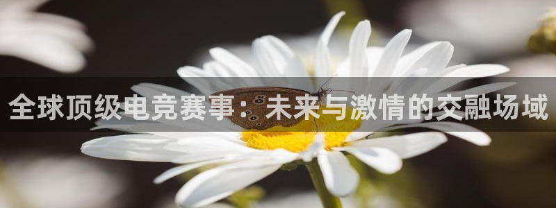 完美电竞手机app：全球顶级电竞赛事：未来与激情的交融场域