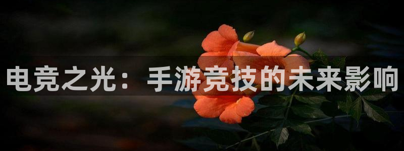 完美电竞app下载：电竞之光：手游竞技的未来影响