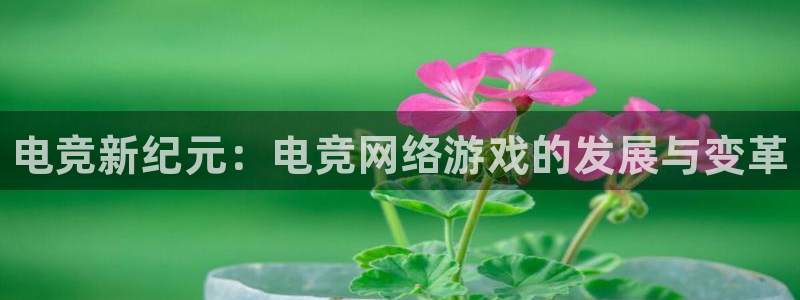 csgo完美电竞：电竞新纪元：电竞网络游戏的发展与变革