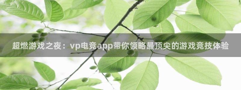 完美电竞下载：超燃游戏之夜：vp电竞app带你领略最顶尖的游戏竞技体验