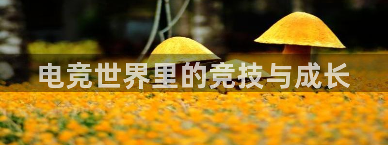 完美电竞世界：电竞世界里的竞技与成长
