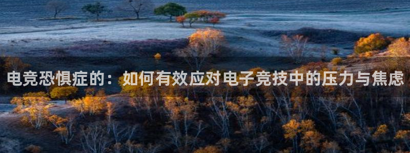 完美电竞cs：电竞恐惧症的：如何有效应对电子竞技中的压力与焦虑