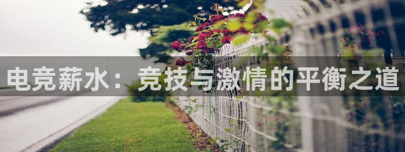csgo完美电竞：电竞薪水：竞技与激情的平衡之道