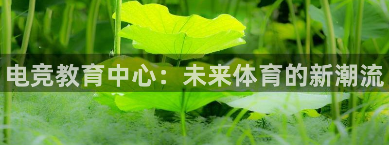 完美电竞官网：电竞教育中心：未来体育的新潮流