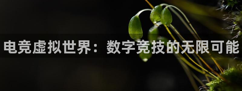 完美电竞下载：电竞虚拟世界：数字竞技的无限可能