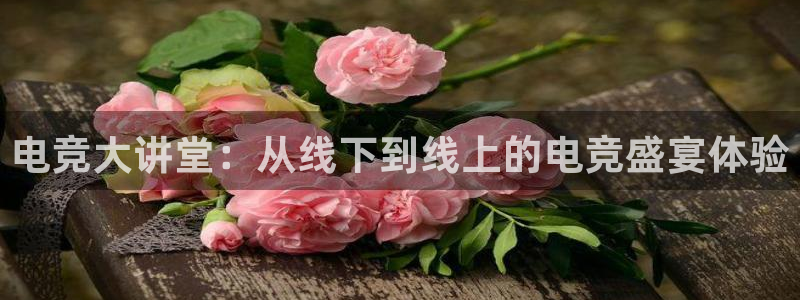 完美电竞平台官网网址：电竞大讲堂：从线下到线上的电竞盛宴体验