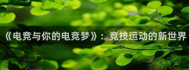 完美电竞平台官网网址：《电竞与你的电竞梦》：竞技运动的新世界