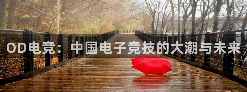 完美电竞账号：OD电竞：中国电子竞技的大潮与未来