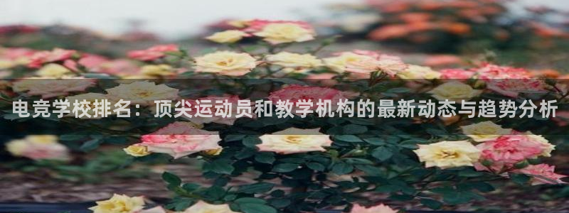 完美电竞世界平台：电竞学校排名：顶尖运动员和教学机构的最新动态与趋势分析