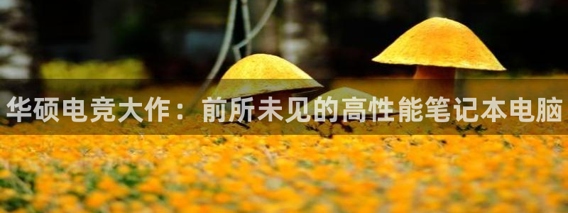 完美电竞世界：华硕电竞大作：前所未见的高性能笔记本电脑
