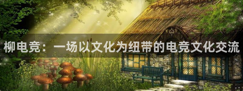 完美电竞直播：柳电竞：一场以文化为纽带的电竞文化交流