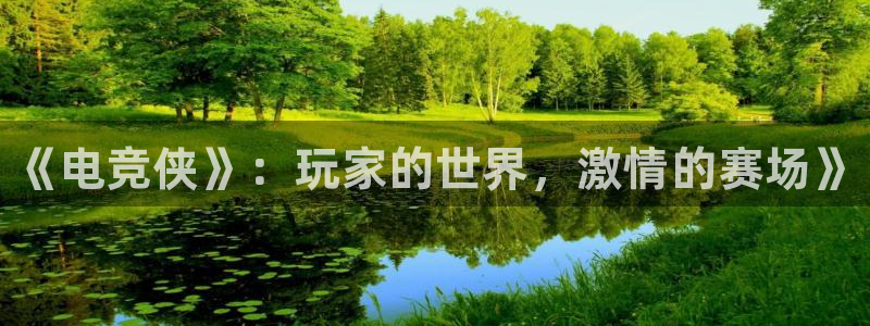 完美电竞开箱：《电竞侠》：玩家的世界，激情的赛场》