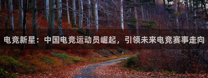 完美电竞对战：电竞新星：中国电竞运动员崛起，引领未来电竞赛事走向