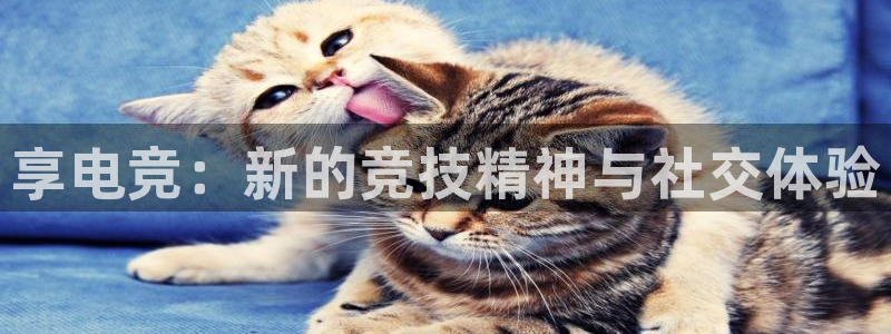 完美电竞世界官网：享电竞：新的竞技精神与社交体验