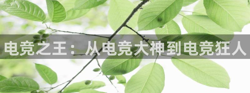完美电竞世界：电竞之王：从电竞大神到电竞狂人
