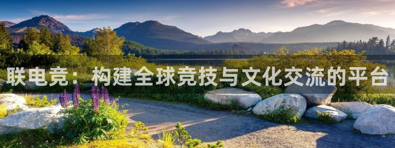 完美电竞app：联电竞：构建全球竞技与文化交流的平台
