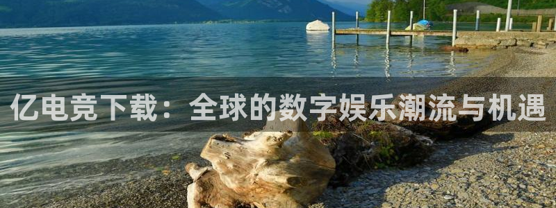 完美电竞平台官网：亿电竞下载：全球的数字娱乐潮流与机遇