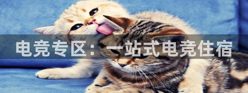 完美电竞账号：电竞专区：一站式电竞住宿