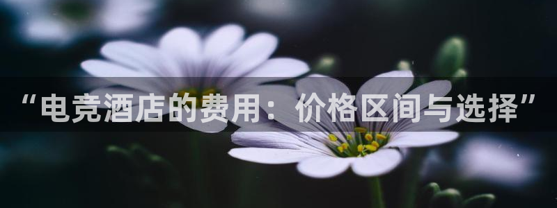 完美电竞官网盛大升级：“电竞酒店的费用：价格区间与选择”