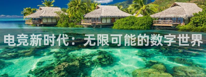 完美电竞世界平台下载：电竞新时代：无限可能的数字世界