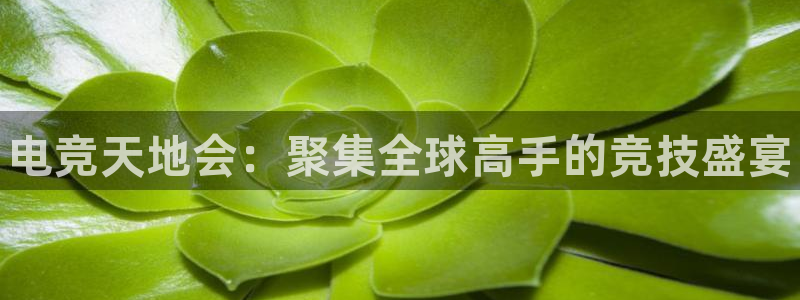 完美电竞注册：电竞天地会：聚集全球高手的竞技盛宴