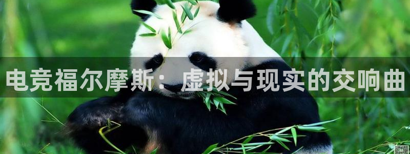 完美电竞联赛：电竞福尔摩斯：虚拟与现实的交响曲