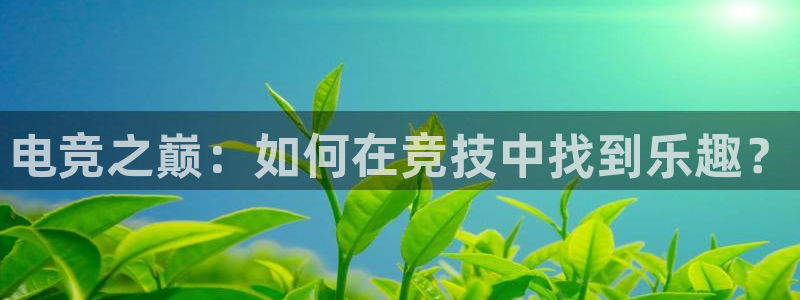 完美电竞对战平台：电竞之巅：如何在竞技中找到乐趣？