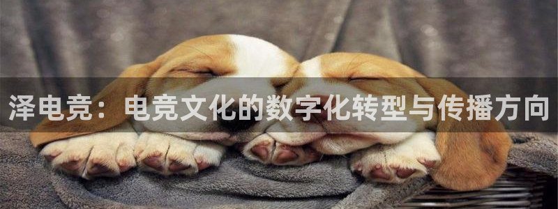 完美电竞官网盛大升级：泽电竞：电竞文化的数字化转型与传播方向